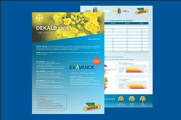 Dekalb onepager